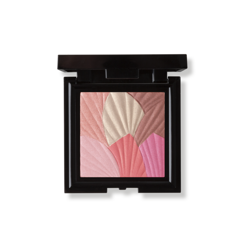 Celestial Skin Shimmer Blusher & Highlighter | Mii