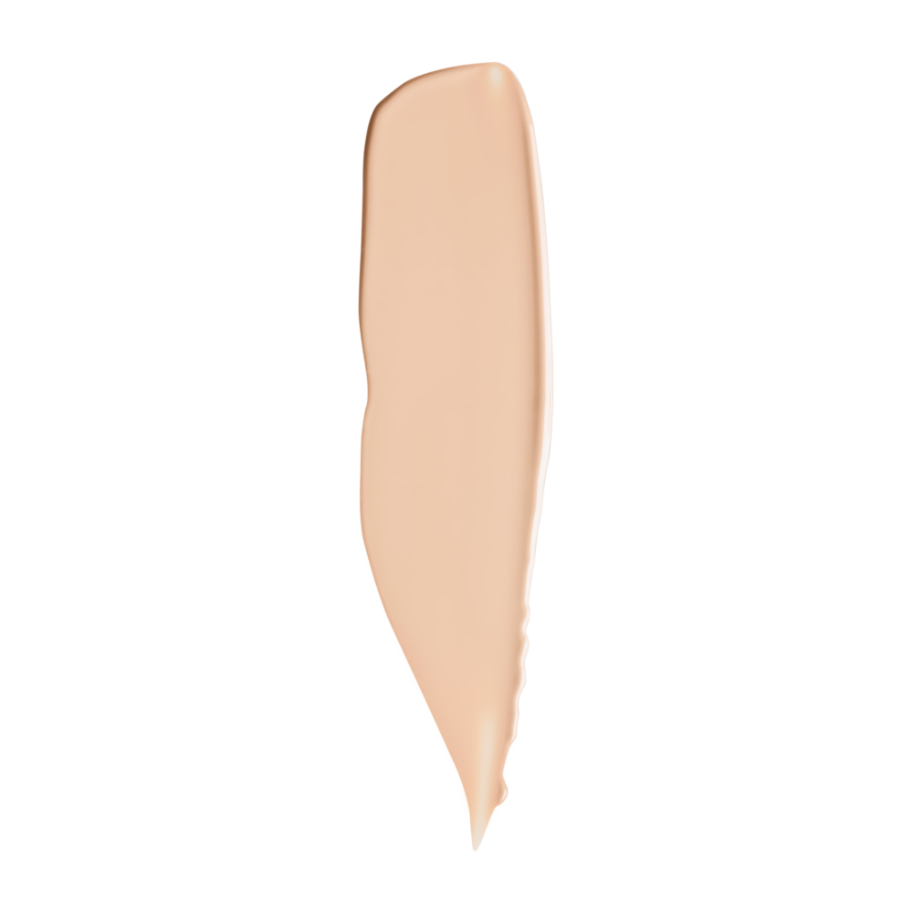 Skin Perfecting Concealer | Mii